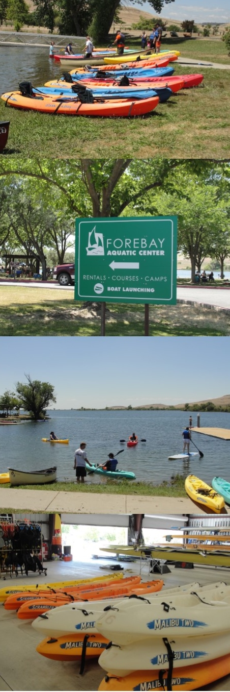 Forebay picture collage